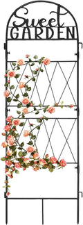 hogardeck 1PC Metal Garden Trellis 45 * 14 inch by HOGARDECK