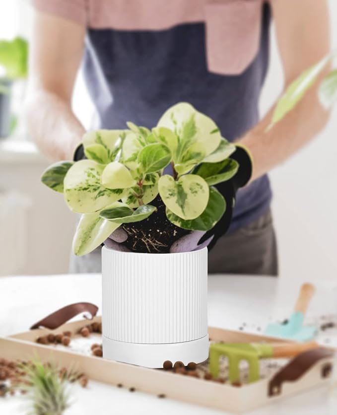 LaDoVita 3 Pack Ceramic Plant Pots 6/5/4 inch, Flowerpot - Image 8