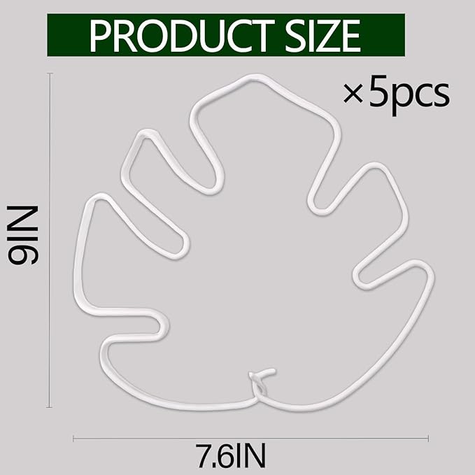 White Monstera Plant Stem Support - Image 5