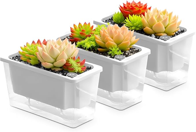 Window Box Planter, 3 Pack 10 Inch Plastic Self Watering Pots by Unknown