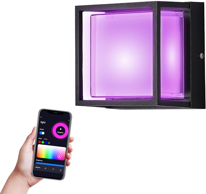 LANFU LED Smart Wall Sconce Light RGB Outside Light by LANFUlampsandlights