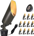 COLOER Brass Landscape Spotlights, 12 Pack Spotlight Fixture Outdoor by COLOER