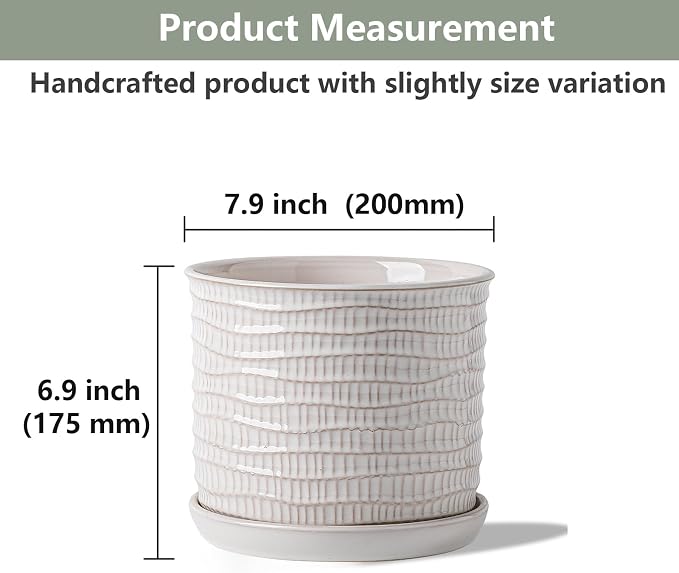 8 Inch Plant Pot: Ceramic Planter - Image 2