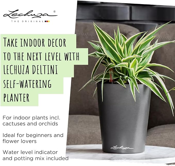 Lechuza 14900 Deltini Self-Watering Planter - Image 4