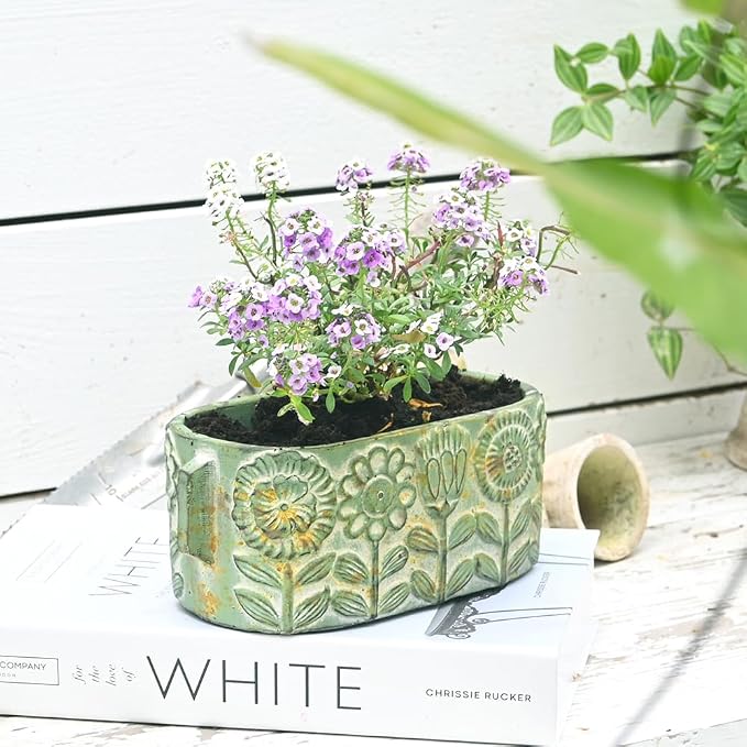 8 inch Green Pots Planters Indoor Plants Succulent Pots Rectangle Window Box by Unknown