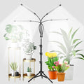 GHodec Grow Light with Stand, 5500K Full Spectrum Gooseneck Floor Plant Light by GHodec