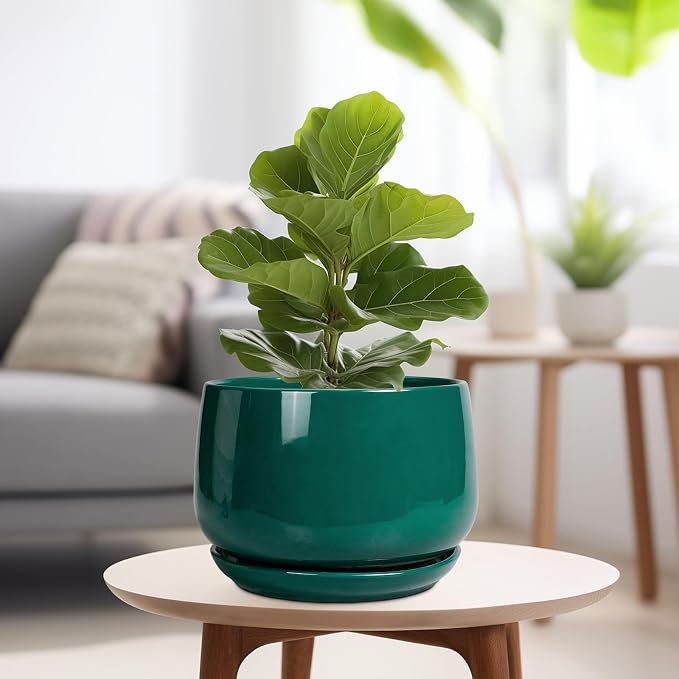 G EPGardening Ceramic Pots for Plants - Image 4