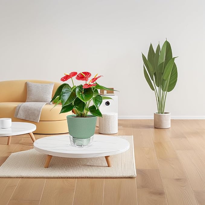 Green Self Watering Plant Pots - Image 6
