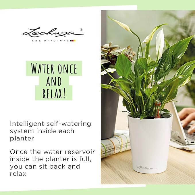 Lechuza 14900 Deltini Self-Watering Planter - Image 6