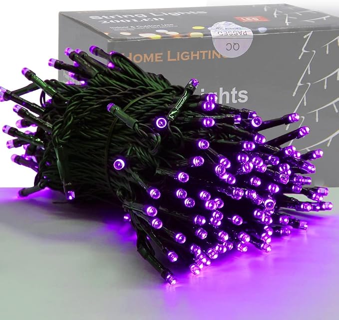 HOME LIGHTING 66ft Halloween Decorative Mini Lights, 200 LED Green Wire Fairy by LJLNION