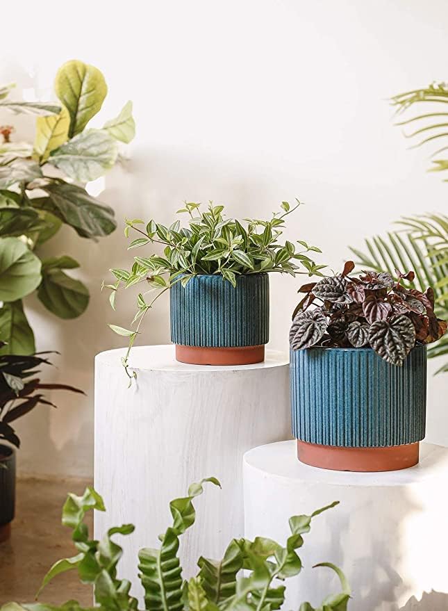 LE TAUCI Ceramic Pots for Plants, 8+6.7+5.5 Inch Plant Pots Indoor, Flower Pot - Image 4