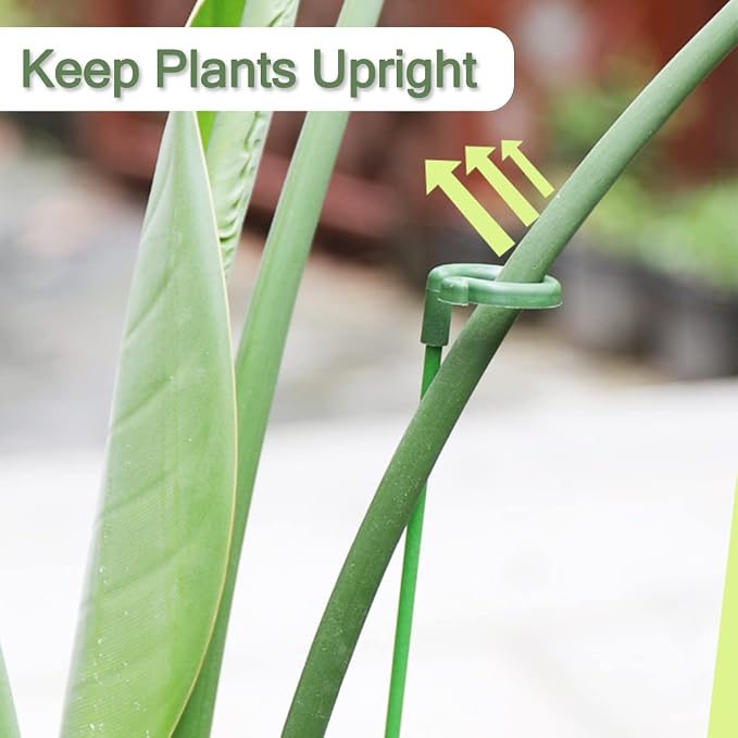 30 Pcs Plant Support Stakes - Image 5