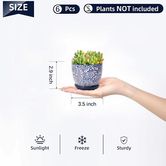 Selamica Ceramic Succulent Pots, 3.5 Inch Small Plant Pots - Image 3