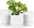 EFISPSS Flower Planter –5 inch Ceramic Plant Pots by EFISPSS