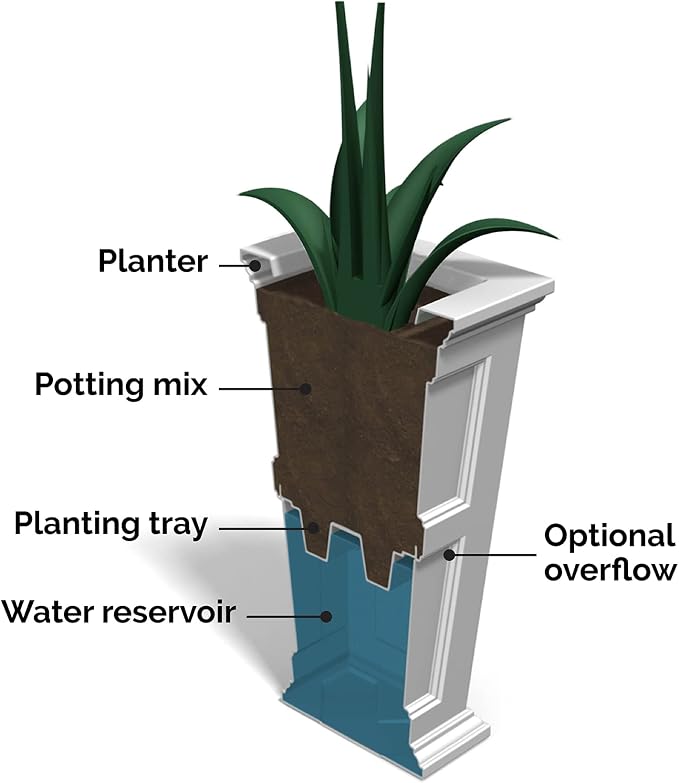 Mayne Fairfield 34-Inch Tall Planter – Weather-Resistant Self-Watering - Image 4