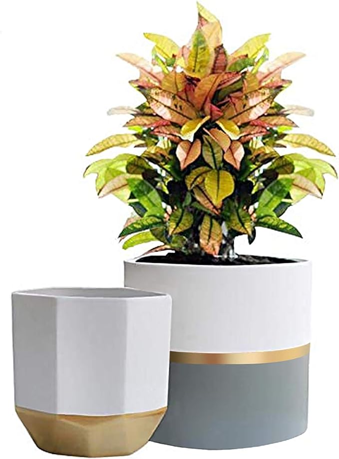 LA Jolie Muse White Ceramic Flower Pot Garden Planters 6.7 Inch Pack 2 Indoor by LaJol%C3%ADeMuse
