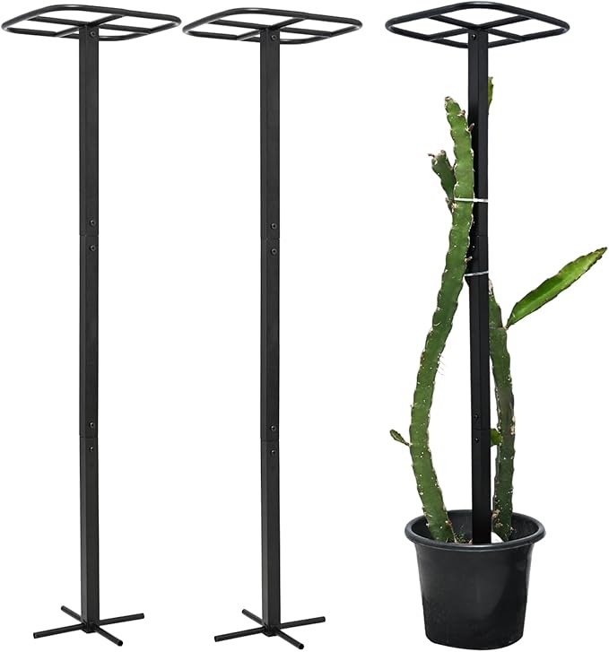 2PCS Dragon Fruit Trellis by Goooxim