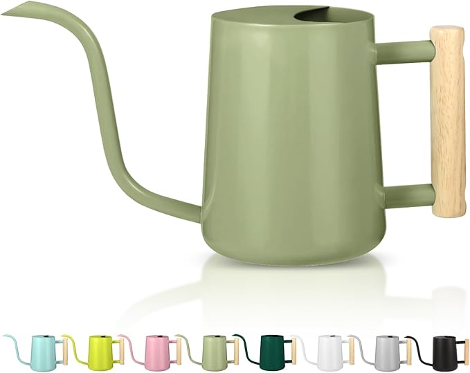 Watering Can Indoor Plants, 35oz Small Indoor Stainless Steel Metal Watering by GUKJOB