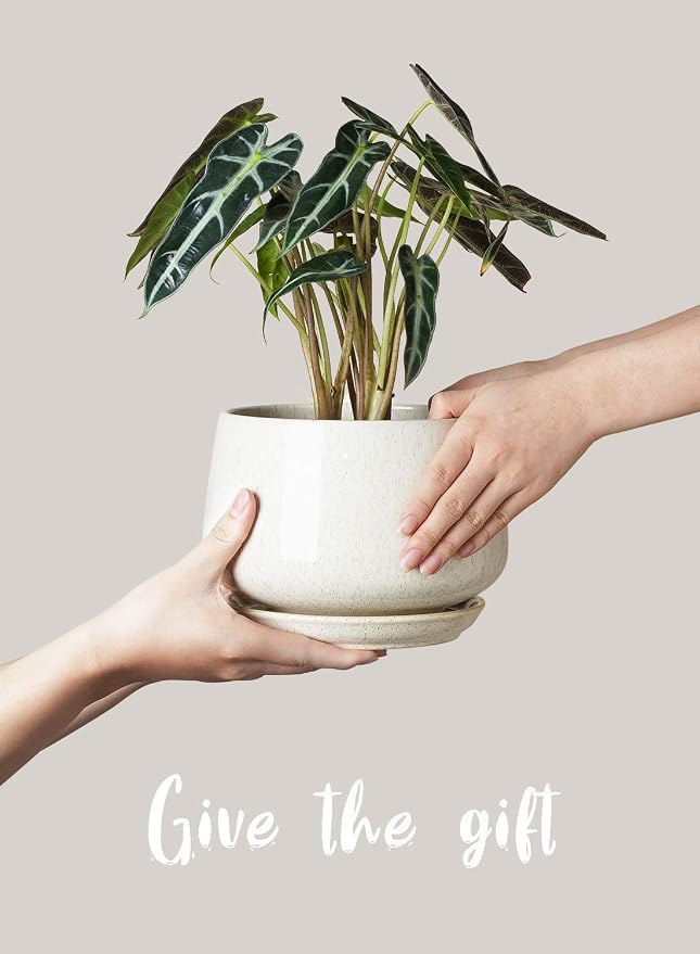 LE TAUCI Plant Pots, 4.1+5.1+6.5 inch, Ceramic Planters - Image 8