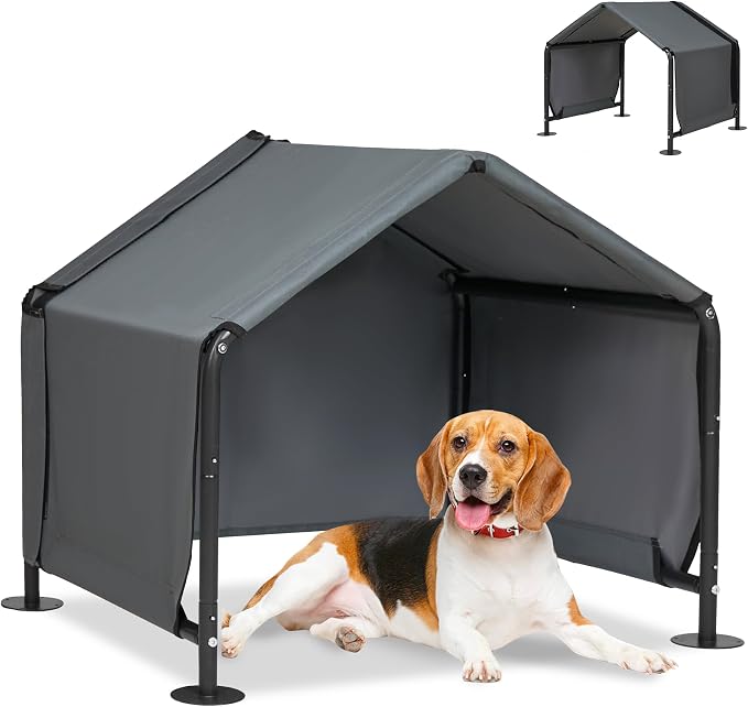 Dog Shades for Outside by LitaiL