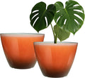 2 Pack Plastic Plant Pots with Drainage Holes, 8 inch Planter by Vanslogreen
