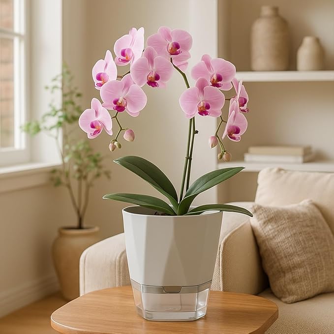 6 Pack Self Watering Plant Pots 5 Inches Self Watering Planters - Image 2