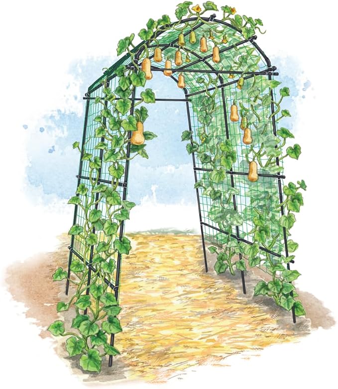 Gardener’s Supply Company Extra Tall Garden Arch Arbor | 80 Inch Tall Titan by GardenersSupplyCompany