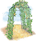 Gardener’s Supply Company Extra Tall Garden Arch Arbor | 80 Inch Tall Titan by GardenersSupplyCompany