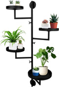 Rotating Window Plant Shelves by Unknown