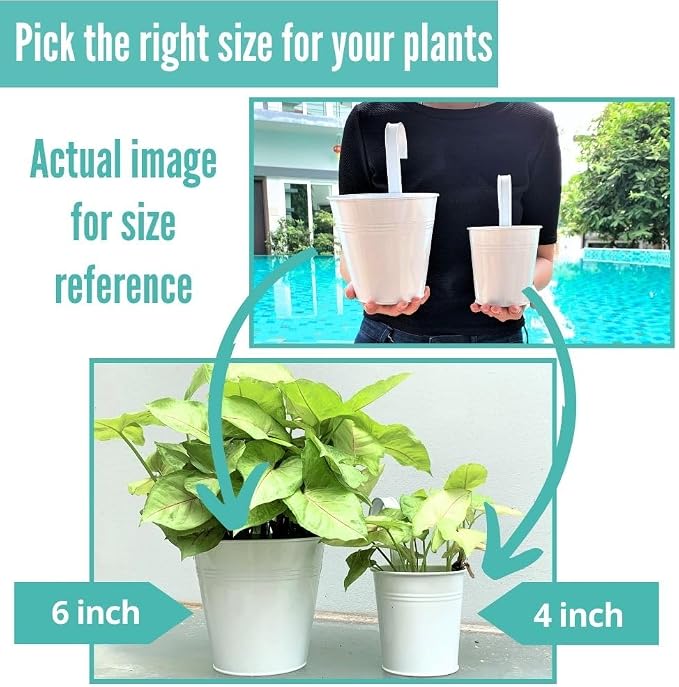 LaLaGreen 6 Inch Hanging Planter Iron - Image 5