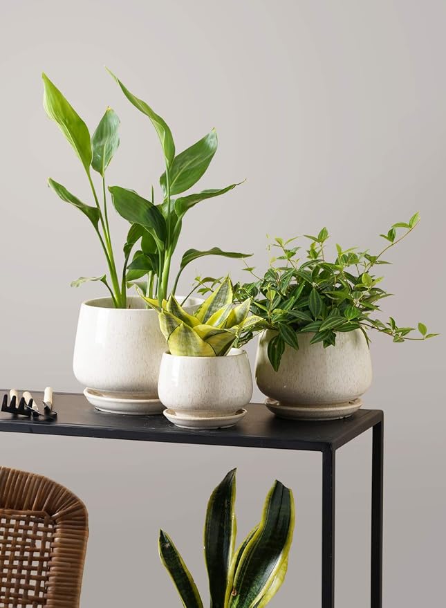 LE TAUCI Plant Pots, 4.1+5.1+6.5 inch, Ceramic Planters - Image 9