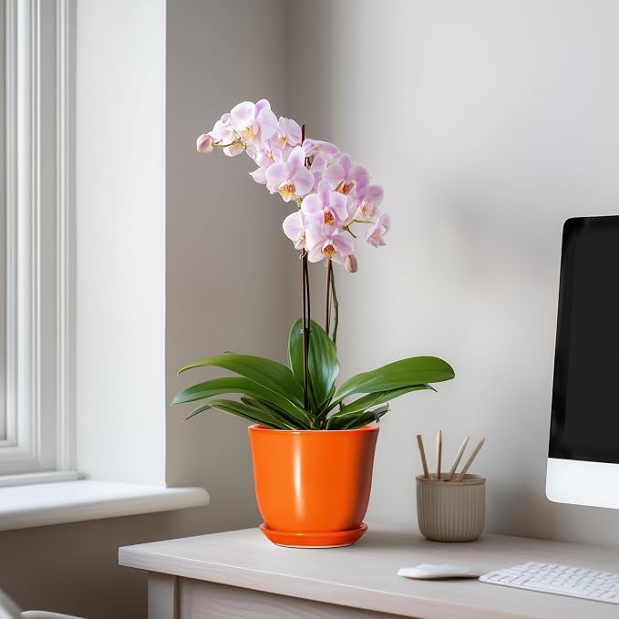 5.6 Inch Plant Pot - Image 3