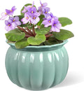 BUYMAX African Violet Pots, 6 inch Pumpkin-Style Ceramic Easy Self Watering by BUYMAX