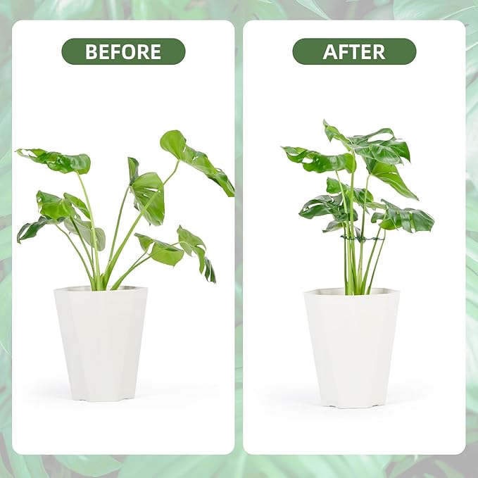 10PCS Iron Monstera Plant Support, Uniquely Designed Indoor Plant Accessories - Image 3