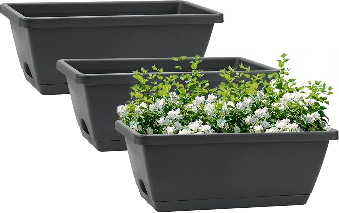GREANER Rectangular Window Boxes by GREANER