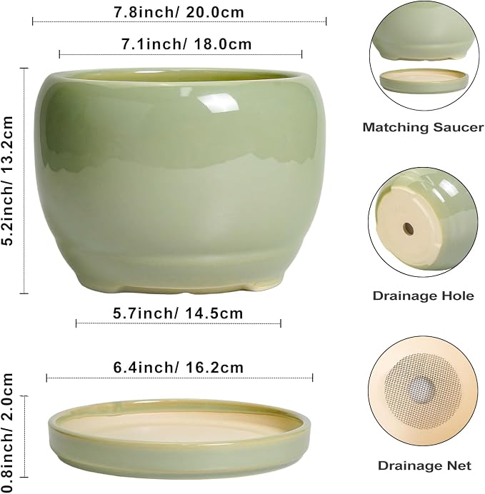 SQOWL 8 Inch Plant Pot - Image 3