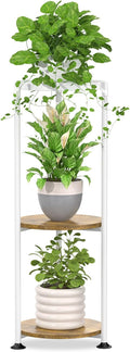 iDavosic.ly 3 Tier Corner Plant Stand Indoor, 34 Inch Tall Vertical Metal by iDavosicly