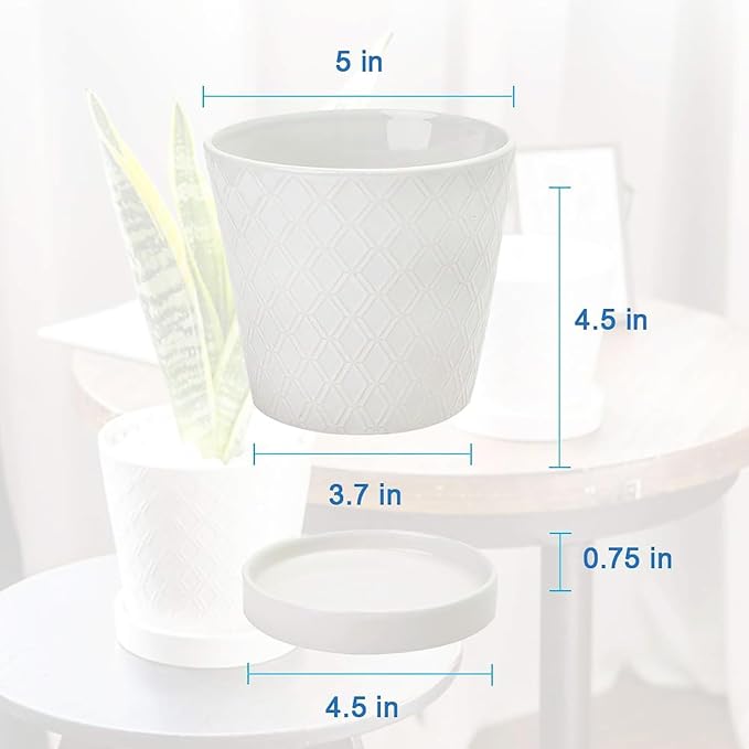 BUYMAX Plant Pots Indoor –5 inch Ceramic Flower Pot - Image 5