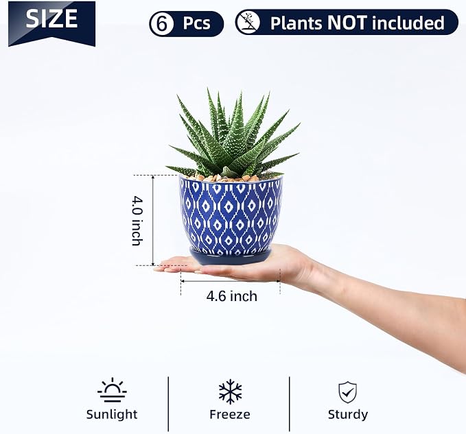 Selamica Ceramic Succulent Pots, 4.6 Inch Small Plant Pots - Image 2
