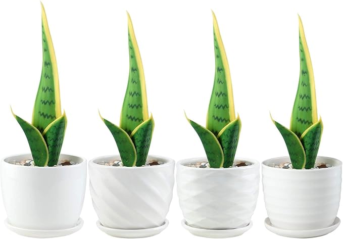 Plant Pots - 4.7 Inch Cylinder Ceramic Planters - Image 4
