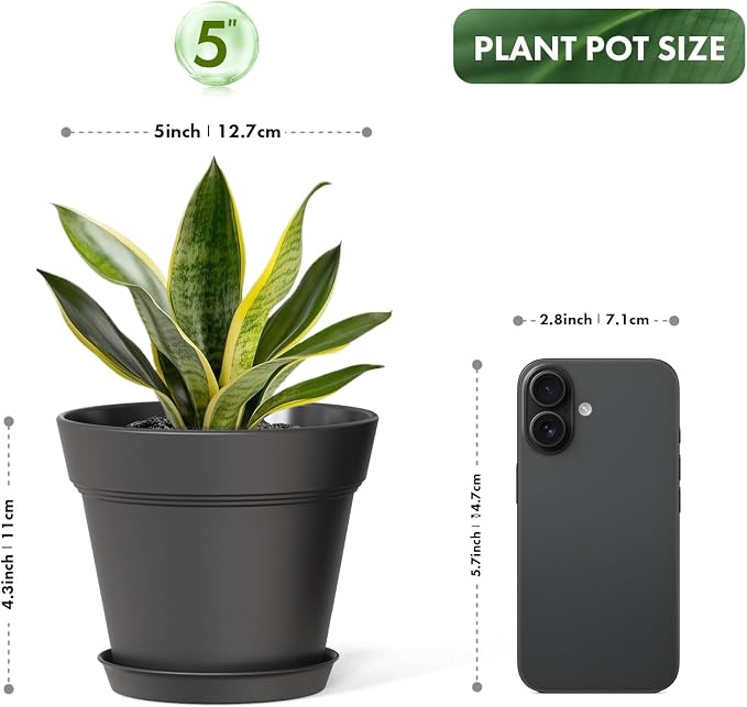 5 Inch Plastic Plant Pots with Drainage Holes and Trays – 6 Pack Small Nursery - Image 3
