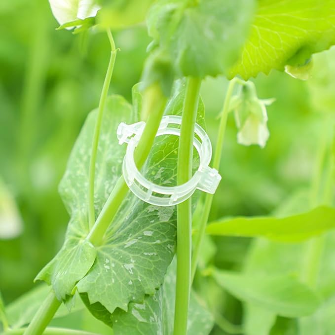 Plant Support Clips, Plastic Trellis Clips, Grape Vine Tomato Vine Vegetables - Image 4
