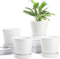 BUYMAX Plant Pots Indoor –5 inch Ceramic Flower Pot by BUYMAX