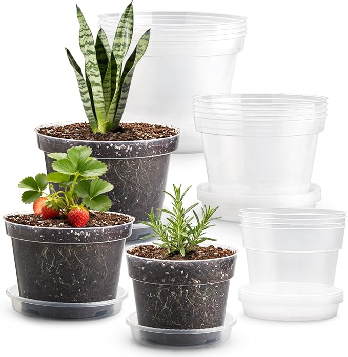 15 Pack 8/7/6 Inch Clear Nursery Pots by RooTrimmer
