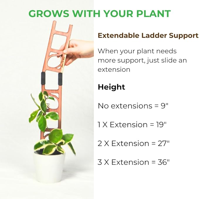 Treleaf Stella Extendable Ladder Trellis - Image 3