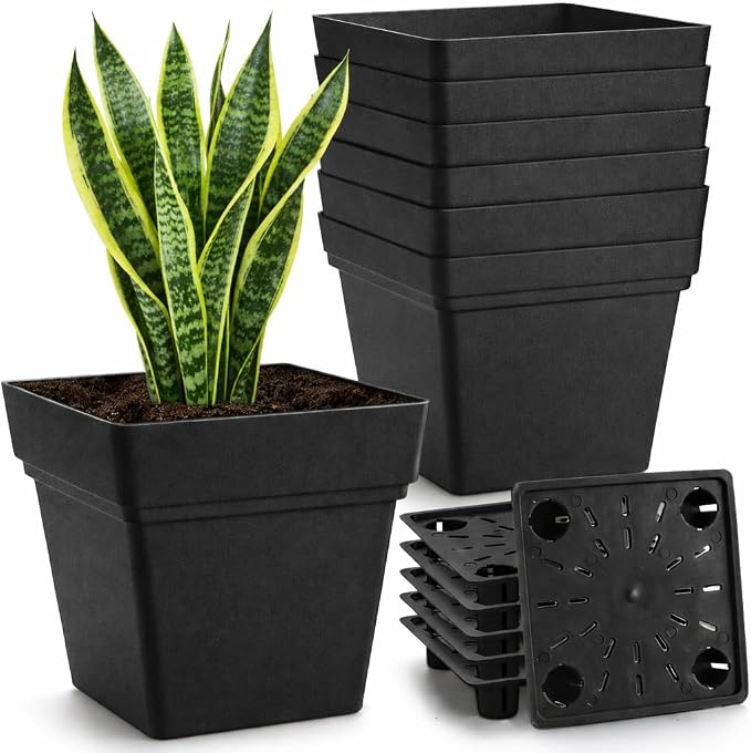 6-Pack 7'' Square Planters by RooTrimmer