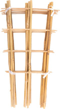 Avalution 10 Pack Bamboo Trellis by Avalution