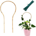 Plant Trellis Indoor 16in, Loop-Shaped Bamboo Trellis by Cambaverd