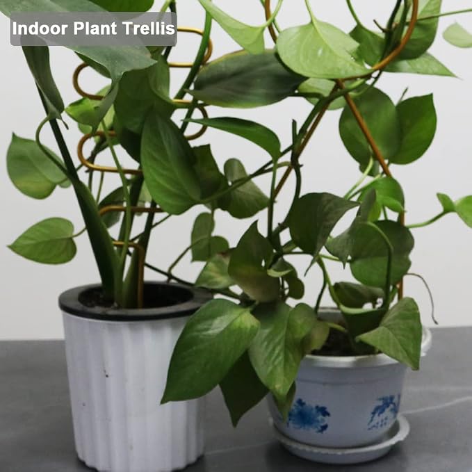 Small Metal Trellis for Potted Plants, Plant Support Stake Mini House Plant - Image 7