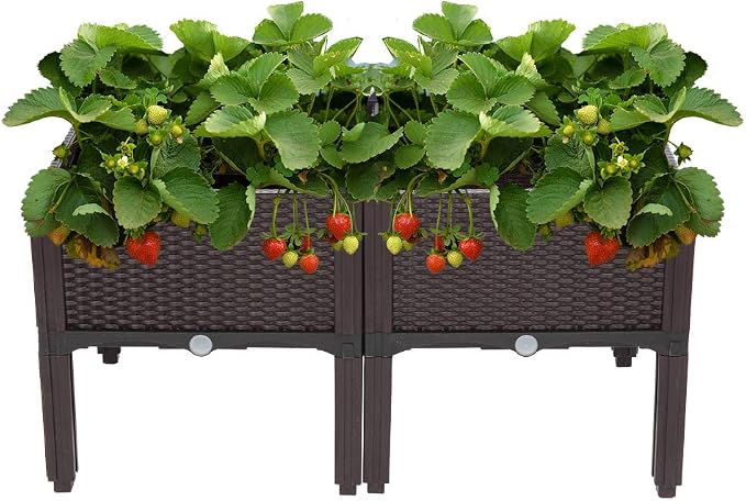 VINGLI Square Raised Garden Bed, Self-Watering Plastic Planter by VINGLI